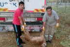 FATURA ŞOFÖRE KESİLDİ