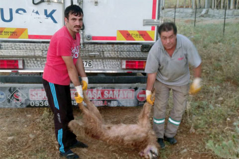 FATURA ŞOFÖRE KESİLDİ