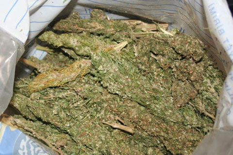 4 kişi 19,5 kilo esrarla yakalandı