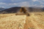 Hasat sırasında biçerdöverin altında kalarak öldü