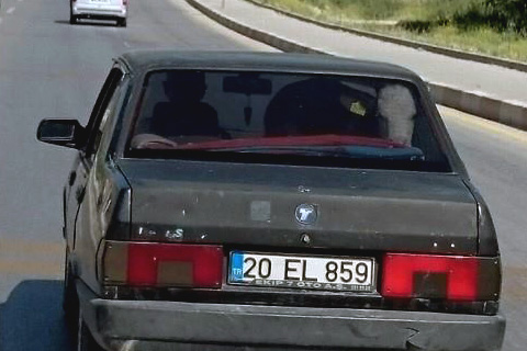 Buzağının VIP yolculuğu