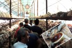 BOLU’DAN MANTAR İÇİN GELDİLER