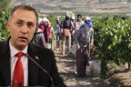 Buldan belediyesi, çiftçiye öncü olacak