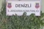 Sarayköy, Çivril ve Honaz’da uyuşturucu operasyonu