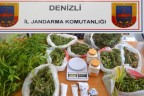 3 ilçede 1.6 kilo esrar ele geçirildi