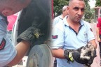 İtfaiye ekibinden bu kez de kedi operasyonu