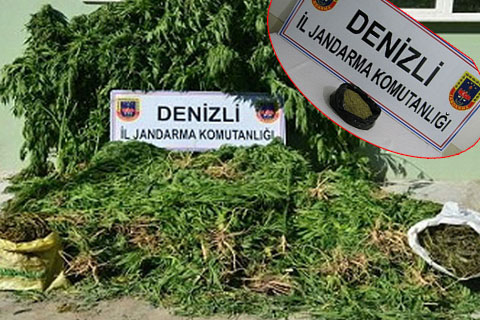 4 ilçede operasyon, 19 kilo esrar ele geçirildi