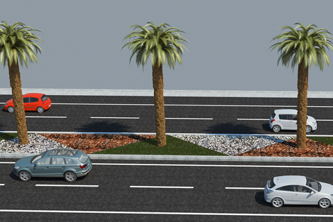Beyaz cennetin yolu palmiyeler ile donatılacak