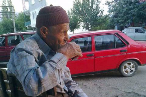 Ceviz sevdası sonu oldu