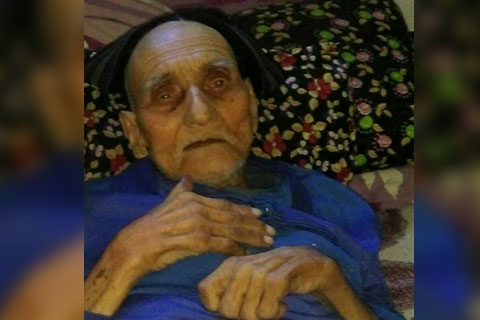 Asırlık çınar devrildi
