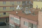 Yaklaşmayın atlarım