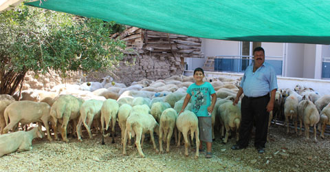 denizli-istiklal-mahallesi-kurban-pazari-ic