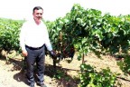 Şarabı soğuk vurdu
