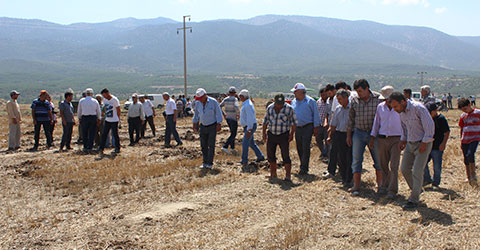 denizli-bozkurt-tarla-fareleri-mucadele-leylekler-gitti-basladi-ic