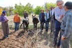 CHP’lilerden gülümseten eşekli fotoğraf