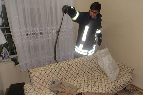 Oturma odasında yılan operasyonu