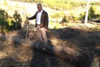 Çallıları bıktıran hırsızlık