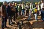 Ceviz fidanları toprakla buluştu