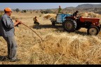Denizli bu yıl 2.555 çiftçi kaybetti