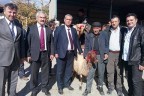 Çivril’de hayvancılık desteği