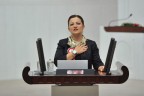 Basmacı’dan Pamukkale’ye ücretsiz girilsin önerisi