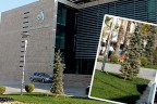 Valilik bahçesinde özel bir fidan
