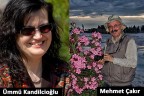 Denizlili fotoğraf sanatçıları ödülleri topladı