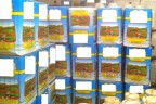 20 ton peynirle kaçtı, Adana’da yakalandı
