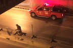 Alt geçitte kedi operasyonu