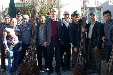 Çameli’de çiftçilere fidan desteği