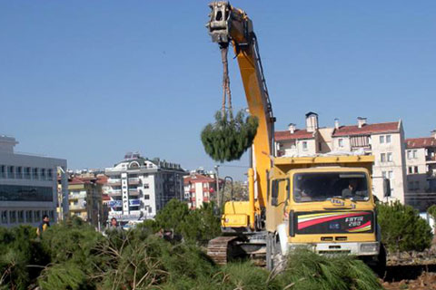 Ağaç nöbetinde 9 gözaltı