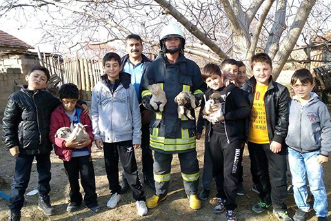 Çocukların dikkati, yavru köpekleri kurtardı
