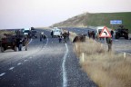 Denizlili Emniyet Müdürü Diyarbakır’da şehit