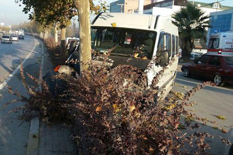 Minibüs ağaca çarptı, 7 kişi yaralandı
