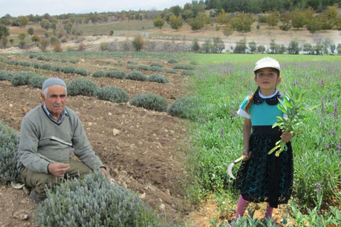 10 yeni ürün için denemeler sürüyor