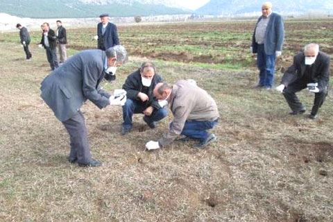 Tarım arazilerinde fare alarmı