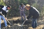 Belediyeye gelir için ceviz ve kabak bahçeleri