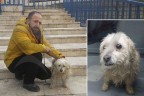 Bu kez ‘bravo’ dedirttiler