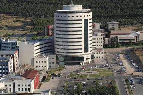 Domuz gribi can aldı