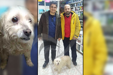 Pamuk sahibine kavuştu