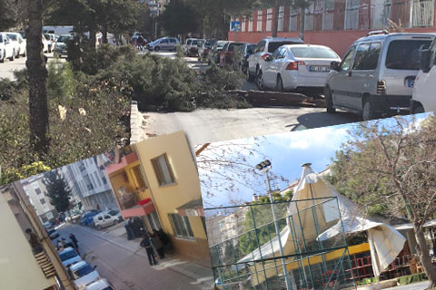 Fırtına felç etti