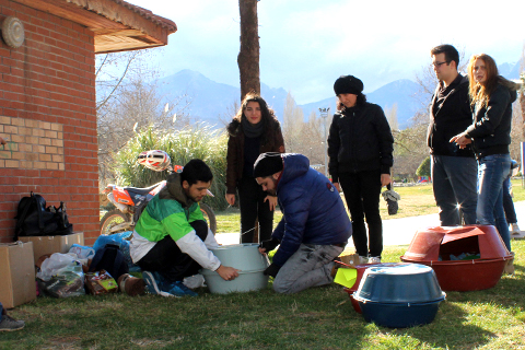 Sokak hayvanları için yuva yaptılar