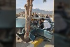 Ağaç otomobili ikiye böldü