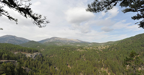 denizli-zeki-akakca-gezenin-gunlugu-olukbasi-benlik-12