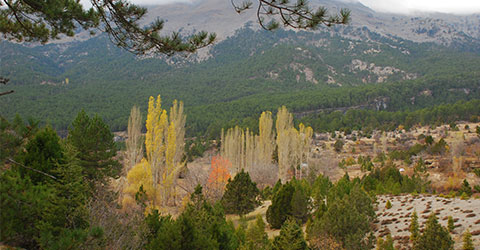 denizli-zeki-akakca-gezenin-gunlugu-olukbasi-benlik-24