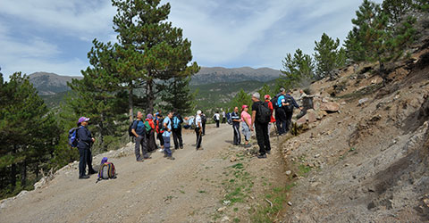 denizli-zeki-akakca-gezenin-gunlugu-olukbasi-benlik-5