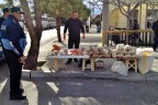 Honaz’da seyyar satıcılarla mücadele