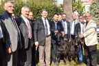 Keçi ıslah projesinde önemli başarı