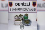 4 ilçede uyuşturucu operasyonu