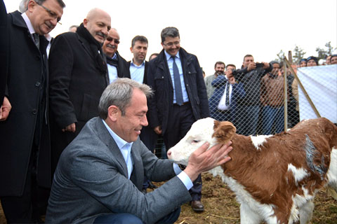 Tin’den süt sektörüne gözdağı